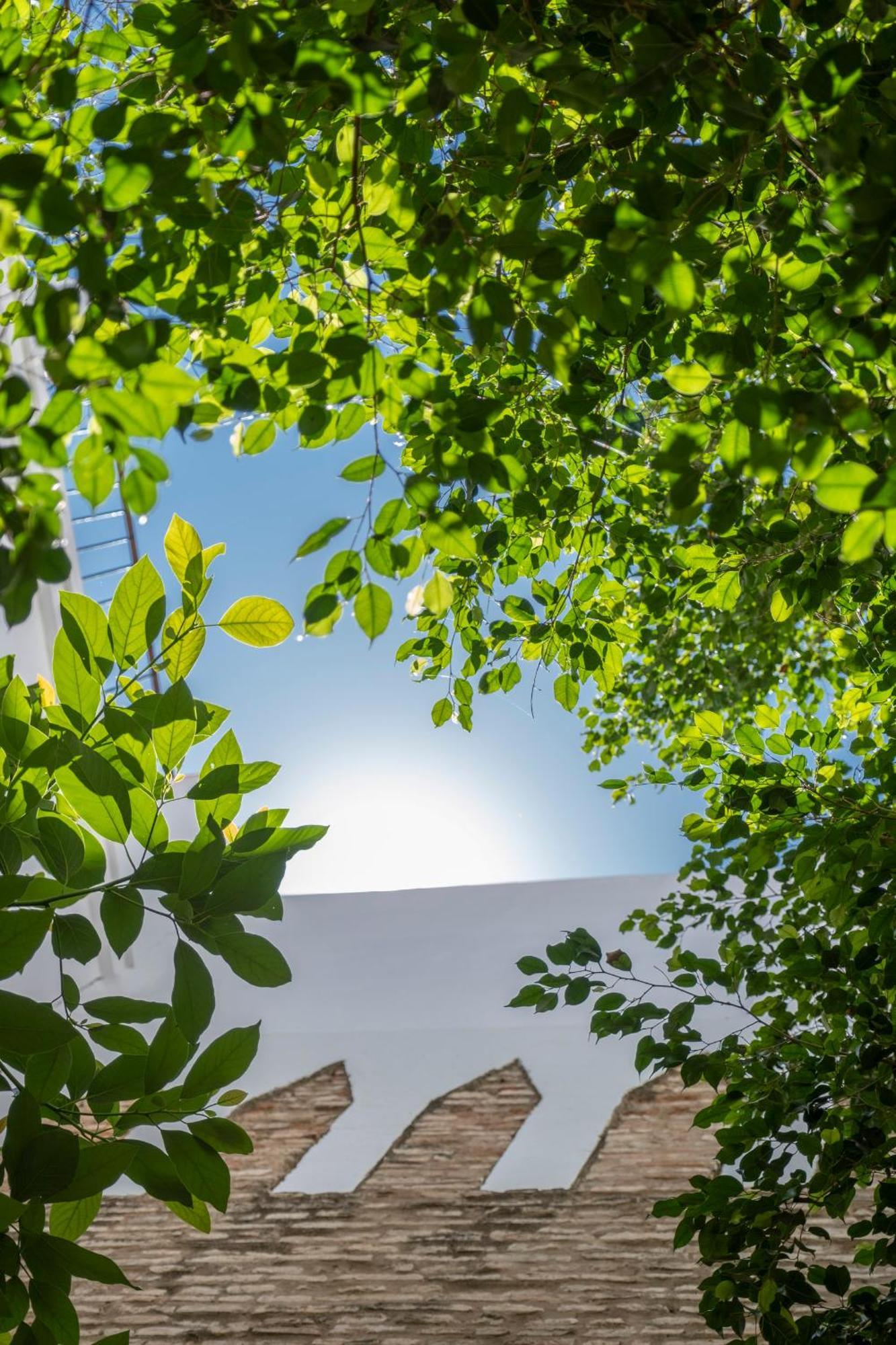 Puerta De Armas Apartments Seville Exterior photo